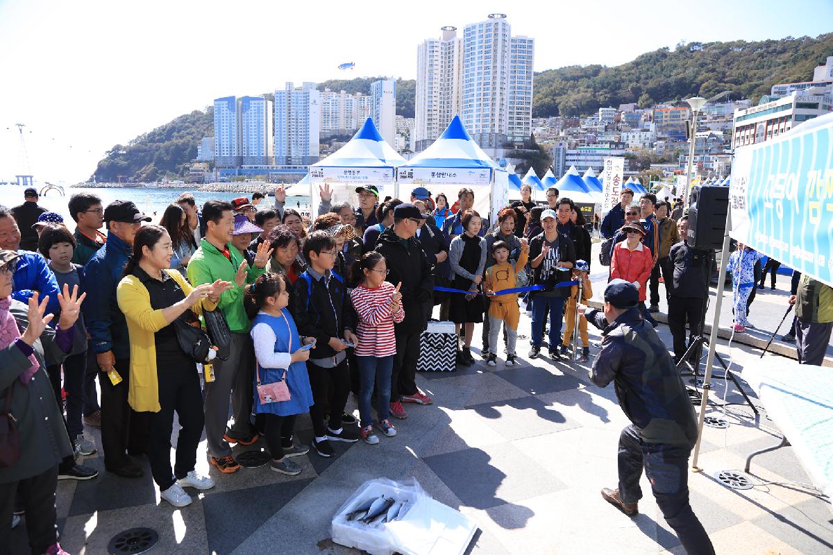 제11회 부산고등어축제_2일차