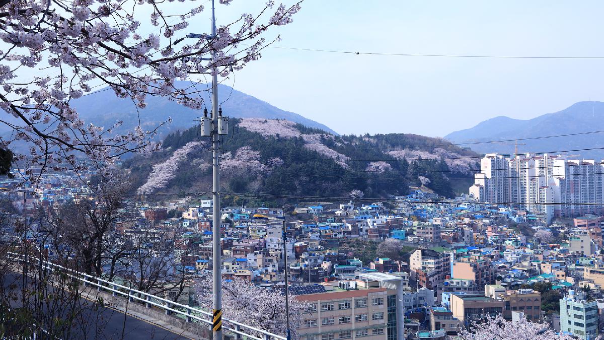 천마산 하늘산책로