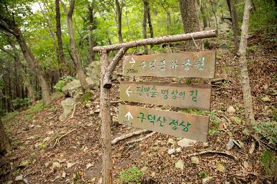 2019 구덕문화공원 편백숲길